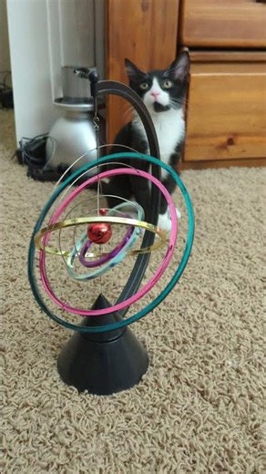 Mozart's Toy Museum: Day 55 - Galaxy Kinetic by Toysmith