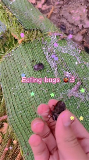 🌸🍡Eating bugs asmr :3 ✨🌷 #asmr #yummyfood #eatingbugs #yummy #muckbang