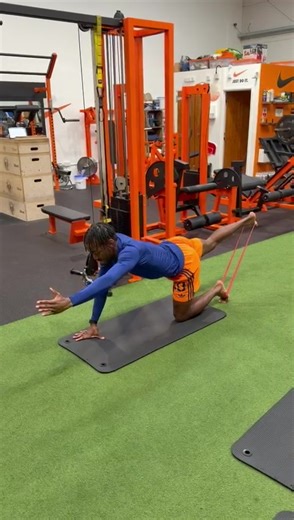 Enhance Your Bird Dog Exercise with Resistance Bands