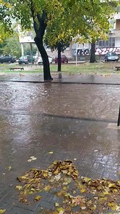 31K views · 434 reactions | Hercegovina.info on Reels | Facebook