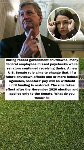 Senators Could Lose Their Pay During Government Shutdowns 😲🇺🇸 #shorts