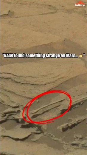 “A Floating Spoon on Mars?! 😳”