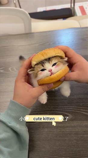 Make a cat-themed burger! Here's a cat-themed burger recipe for you. #cat #cute #cutecat