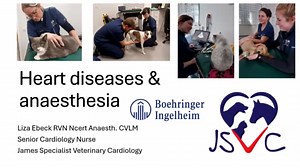 Anaesthesia and Arrhythmias. Part 2; Anaesthesia and Heart Diseases