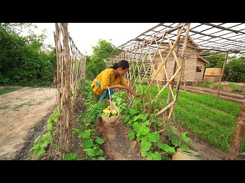 Bushcraft Survival Shelter Build The Most Beautiful Wooden Villa House by Ancient Skills