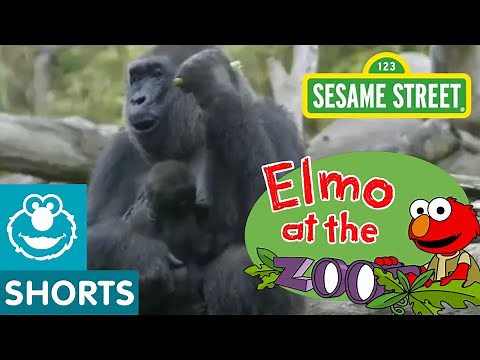 Elmo Visits the Zoo (Elmo at the Zoo #1)