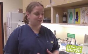 Staining a Blood Smear