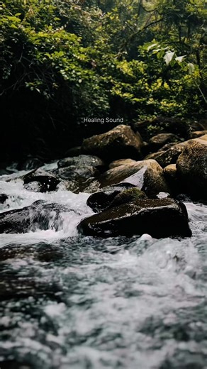 Healing Sounds from the Jungle for Relaxation