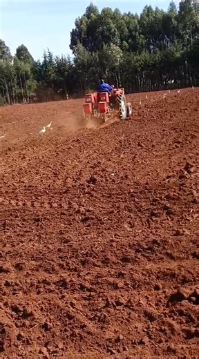 6.2K views · 105 reactions | Importance of Early Land Preparation...