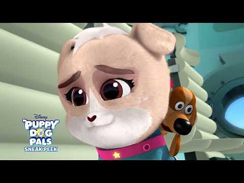 Blast Off! 🐾 | Puppy Dog Pals | Disney Junior