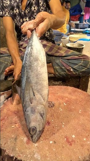 Tuna Fish Cutting – Market Style Fillet & Steak Preparation Skills #shorts #shortsviral #fishcutting