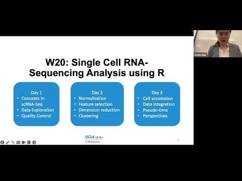 W20: Single-Cell RNA-Seq Analysis with R – Day 1