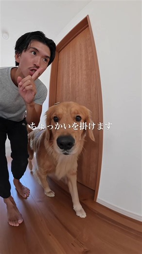 在宅ワーク中のアカネちゃんにちょっかいをかけに行きます