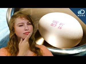 When Does Food Really Expire?