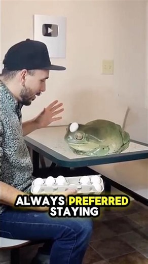The Giant Frog Nobody Expected to Become a YouTube Star 🐸 #shorts #viral #frog #animalshorts