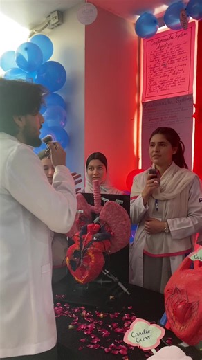 Exploring the Human Circulatory System Anatomy