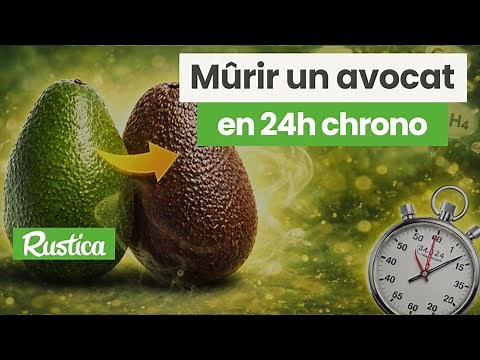 Ripening avocados