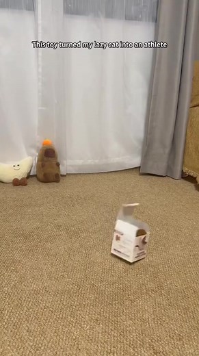 【La source ultime du plaisir félin ! Découvrez le jouet intelligent...