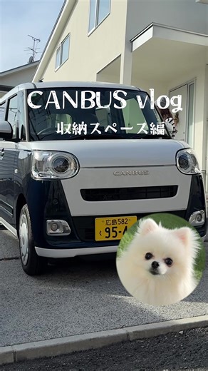 ダイハツムーヴキャンバスの多彩な収納紹介