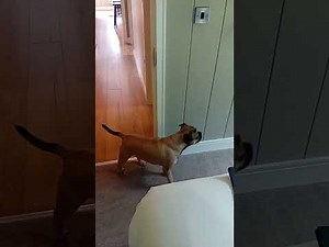 First Glimpse of our Lodge Holiday at Rivendale Lodges, Derbyshire