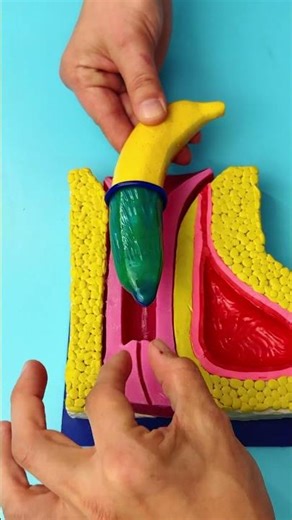 What Happens If You Don't Follow Safety Rules?