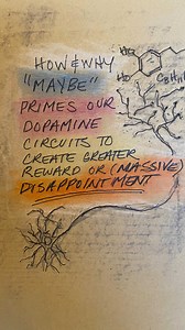 Andrew Huberman, Ph.D. | Dopamine is not the chemical of pleasure. It is the chemical of motivation, craving and anticipation. Once you understand a little bit... | Instagram