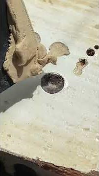 Wood Putty Hack | How to Apply Wood Putty #shorts