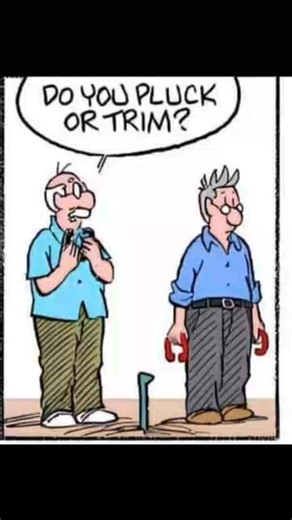 For this comic, a funny caption could be: "When you find out the secret to taming unruly eyebrows: leaning into the BBQ flames 🔥" Want me to come up with more captions? #blifestyle #opalandearl | Opal and Earl