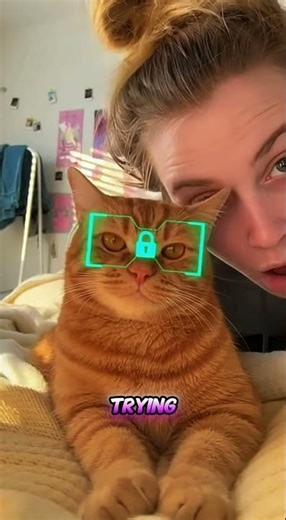 Why Hugging Cats Is Dangerous ⚠️