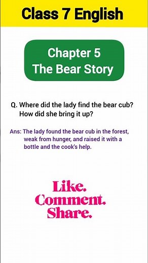 Where Did the Lady Find the Bear Cub? | Class 7 English An Alien Hand Chapter 5