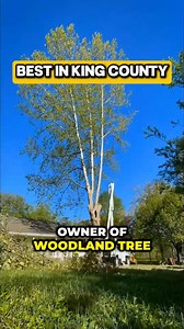 👋Hey guys! My name is Clark, and I own Woodland Tree Experts in King County⭐ I absolutely LOVE what I do—helping people keep their homes safe and beautiful by taking care of problem trees. Everyone always asks… how much does it cost to trim a tree? Well… It depends on a few things: Do you need something quick and cost-effective? Or do you want every step done with precision, leaving your yard looking perfect? Unfortunately, not all tree trimming quotes are created equal. We know every project i