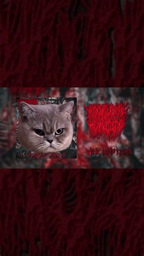 HOOKWORM HOMICIDE "SADISTIC TORMENT" OUT NOW!