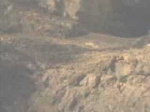 Alien 3000 - Trailer