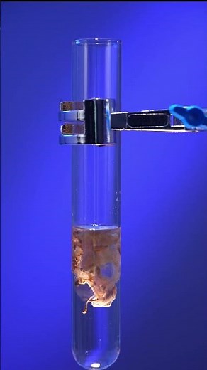 **Create a Rainbow of Precipitates with Silver Nitrate! 🌈🧪**