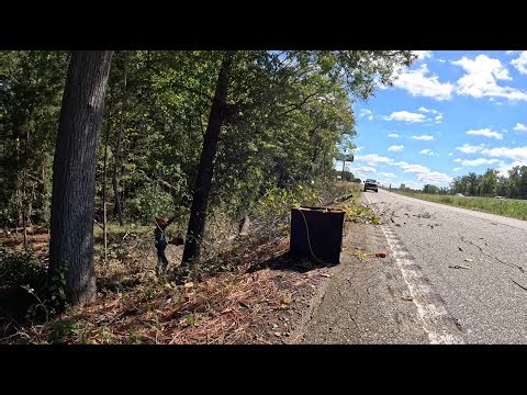 Tree work done right: taking down a big oak safely