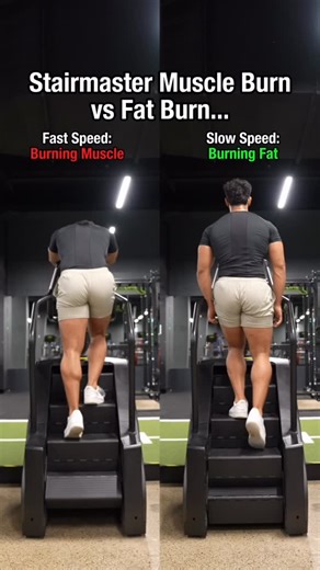 Joshua Kaoutal | Online Fitness Coach 🏆 on Instagram: "STAIRMASTER BURN FAT VS MUSCLE👀👇 Fast Speed: Burning Muscle 🤡 ➖ 18–22 speed ➖ Holding machine ➖ Burns muscle and fat ➖ ~350 calories in 30 minutes ➖ High impact on knees, ankles, back ➖ 24–48 hours to recover ➖ 99% of people quit Slow Speed: Burning Fat ✅ ➖ 8–10 speed ➖ Standing upright ➖ Burns visceral fat only ➖ ~250 calories in 30 minutes ➖ Low stress, low impact on ankles and knees ➖ 24 hours to recover ➖ Consistent and sustainable r