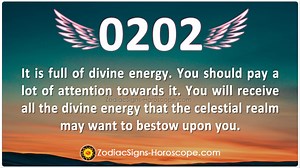 천사 번호 0202 보기: 의미, 상징적 의미 및 사랑