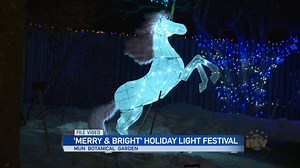 Your Community: Merry & Bright Christmas Lights - NTV: Newfoundland and Labrador's Most Trusted News Source