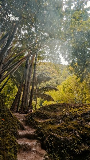 Explore the beauty of Cebu, Philippines 🌴 🇵🇭 #CEBUISLANDGUIDE #VisitCebu #DiscoverPhilippines #TravelGoals #CebuPH | Cebu Island Guide