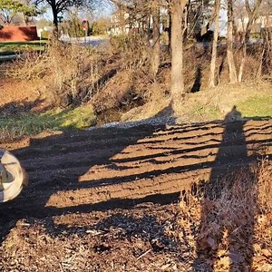 Today we set a new record for the most stumps extracted in 1 day by 1 machine! The new number to beat is 61! Wow! | Easy Recipes | Facebook