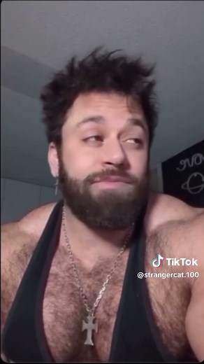 Funny Cat Memes: Hilarious Cat Moments Compilation