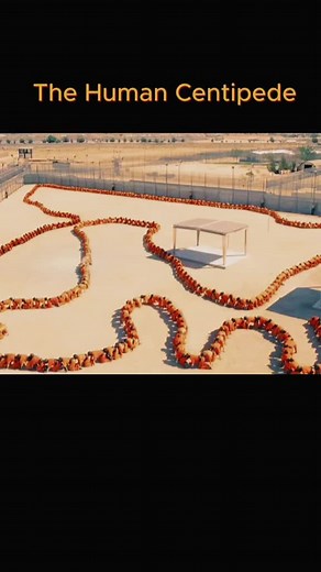 The human centipede #movie #film #movieclips #filmclips #gross #horror #prison #prisontiktok #humancentipede3 #scary #scene #edits #drama #prisoner #cdrama #kdrama #movieclips #fyp