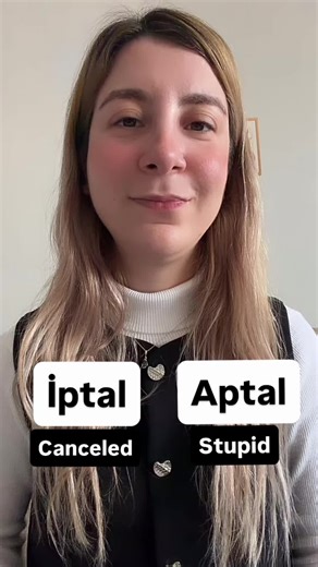 Learn Turkish Language Effortlessly with Expert Guidance