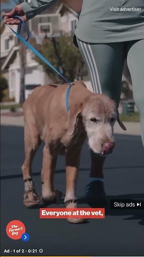 The Farmer’s Dog commercial #shorts