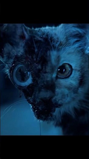 👁️ Alien Cat Horror – Tentacle Nightmare Attack! 😱🐱🛑