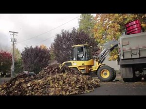 Leaf removal in Portland