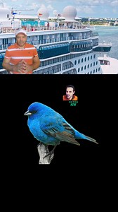 desafio extremadamente divertido | Retos Now