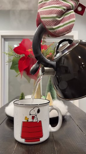 Every year when the tree goes up, there’s one thing that truly makes it feel like Christmas. Putting on A Charlie Brown Christmas. Growing up, it wasn’t really the holidays until that jazz soundtrack started playing through the house. The smell of pine, the soft glow of the lights, the sound of Schroeder playing piano. Somehow it all made everything feel filled with love. My family would pile onto the couch with blankets and hot chocolate, and for a while the world felt perfectly still. It didn’