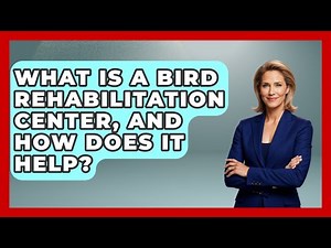 What Is A Bird Rehabilitation Center, And How Does It Help? - Bird Watching Diaries