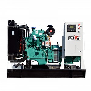 [Hot Item] China Bison Top Land Generator Set 40kw/50kVA 50Hz 1500 Rpm Industrial Diesel Genset